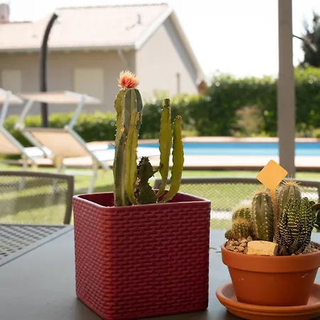 Trilocale 2 Camere, Con Piscina アパート *